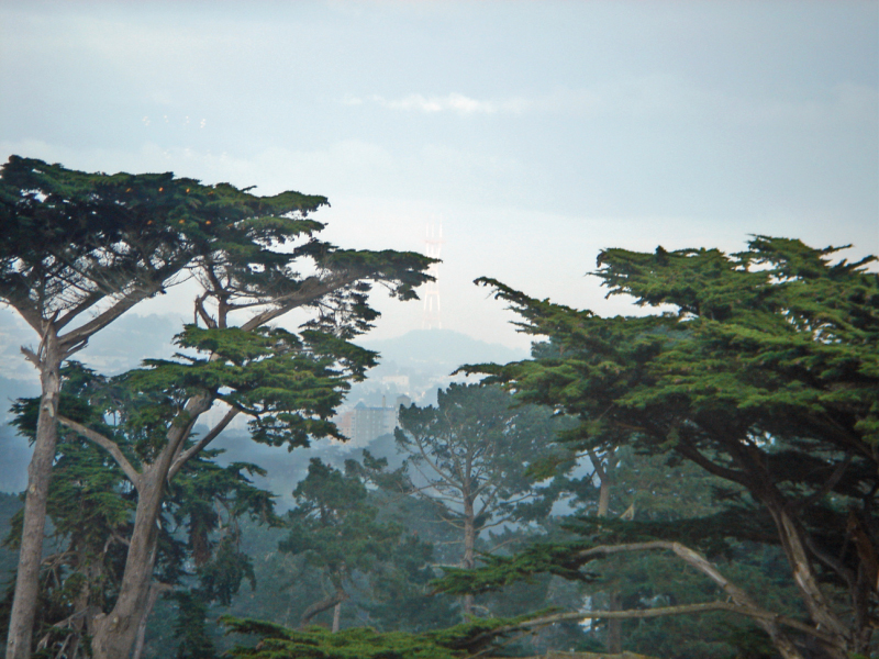 sf-apt-hunt044_edited-1