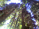 img025_edited-1