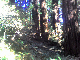 img027_edited-1