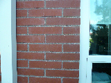 P1000337