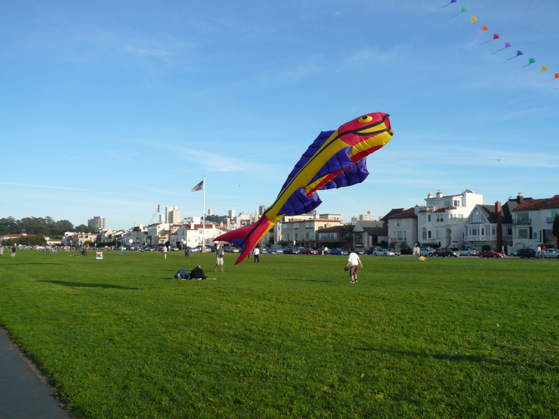 P1000243