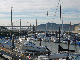 P1000245_edited-1